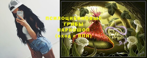 бутират Арсеньев