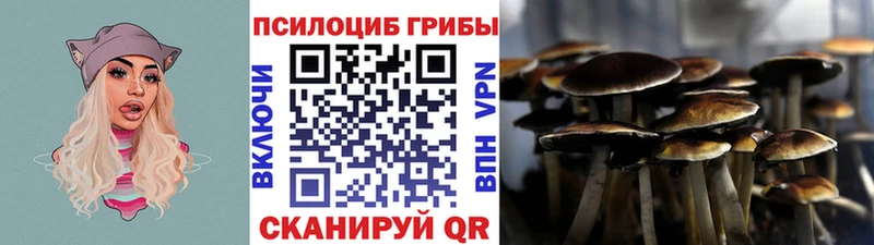Галлюциногенные грибы ЛСД  как найти   Сухиничи 