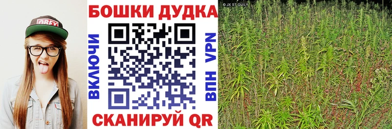 дарнет шоп  Сухиничи  Бошки Шишки гибрид 